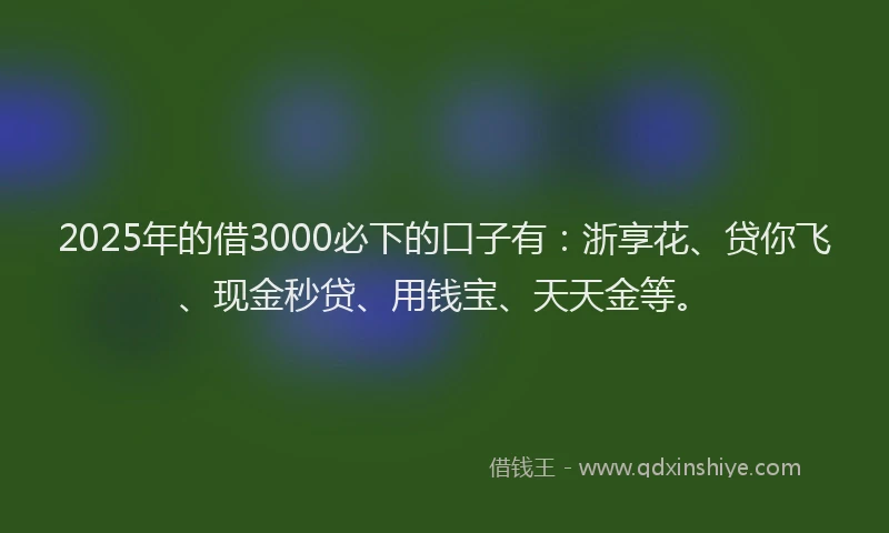 2025年的借3000必下的口子有：浙享花、贷你飞、现金秒贷、用钱宝、天天金等。