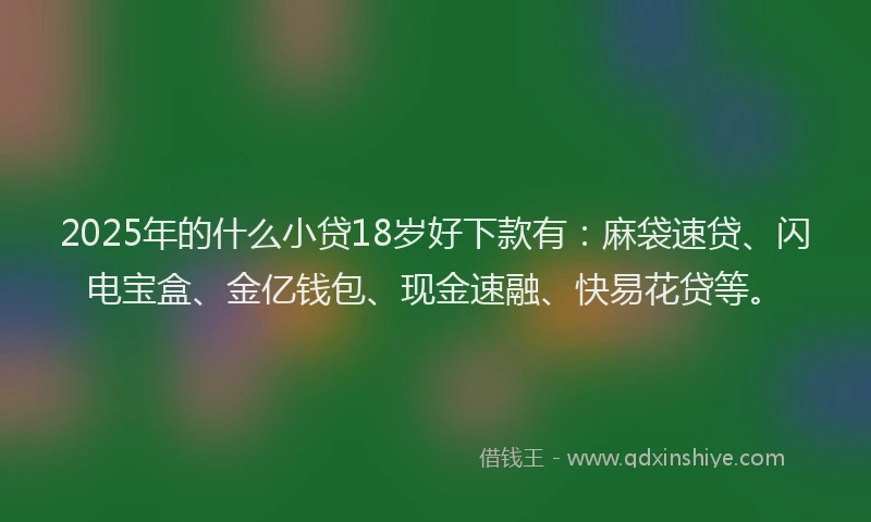 2025年的什么小贷18岁好下款有：麻袋速贷、闪电宝盒、金亿钱包、现金速融、快易花贷等。