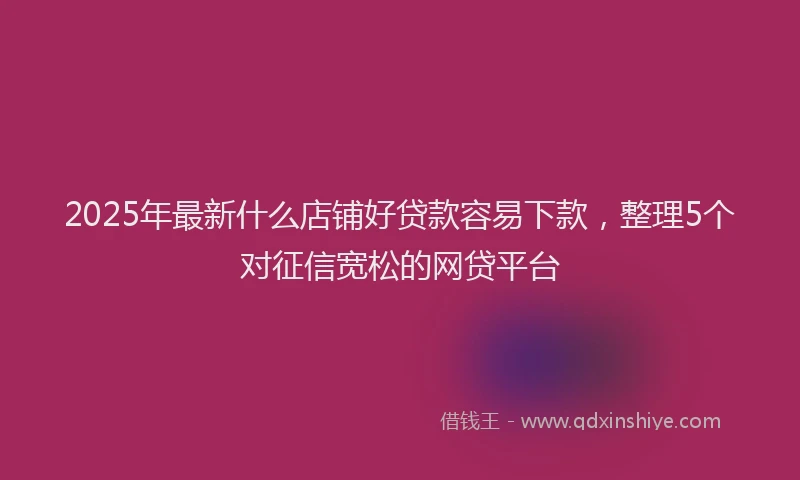 2025年最新什么店铺好贷款容易下款，整理5个对征信宽松的网贷平台
