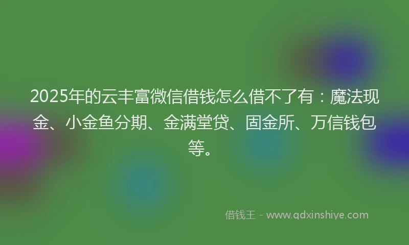 2025年的云丰富微信借钱怎么借不了有:魔法现金、小金鱼分期、金满堂贷、固金所、万信钱包等。