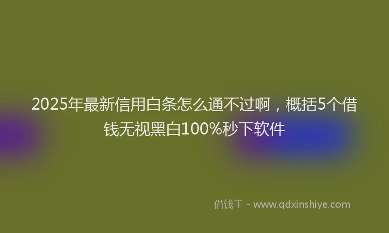 2025年最新信用白条怎么通不过啊，概括5个借钱无视黑白100%秒下软件