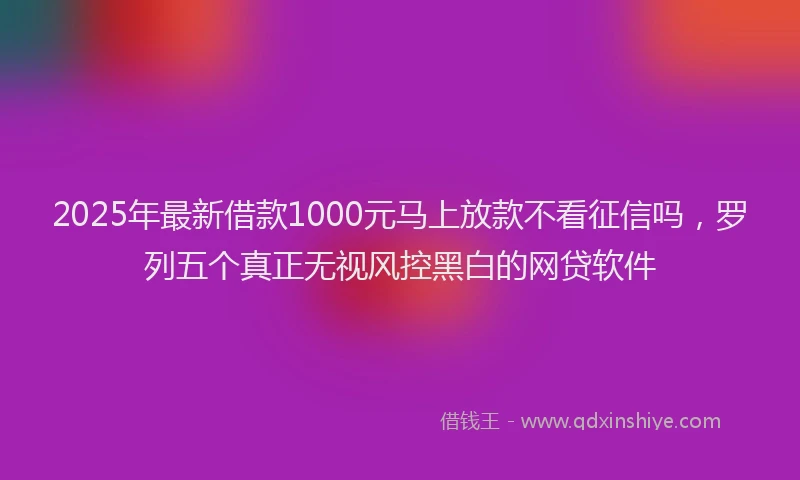 2025年最新借款1000元马上放款不看征信吗，罗列五个真正无视风控黑白的网贷软件