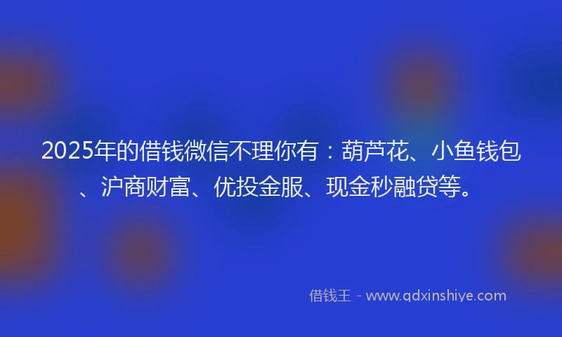2025年的借钱微信不理你有：葫芦花、小鱼钱包、沪商财富、优投金服、现金秒融贷等。