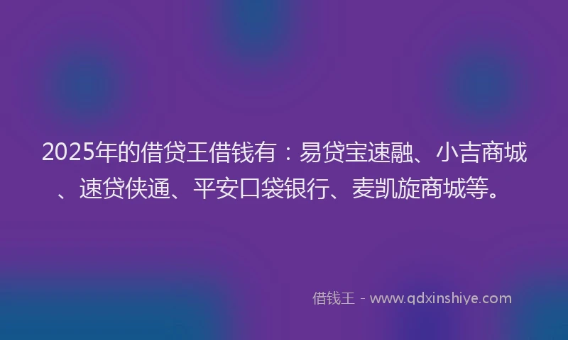 2025年的借贷王借钱有：易贷宝速融、小吉商城、速贷侠通、平安口袋银行、麦凯旋商城等。