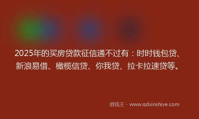 2025年的买房贷款征信通不过有：时时钱包贷、新浪易借、橄榄信贷、你我贷、拉卡拉速贷等。