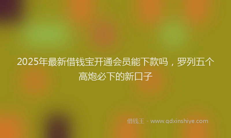 2025年最新借钱宝开通会员能下款吗，罗列五个高炮必下的新口子