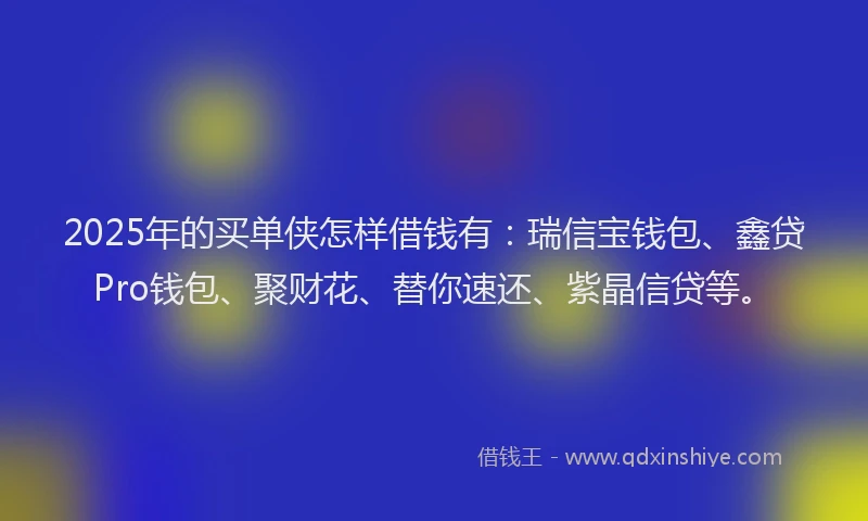 2025年的买单侠怎样借钱有：瑞信宝钱包、鑫贷Pro钱包、聚财花、替你速还、紫晶信贷等。
