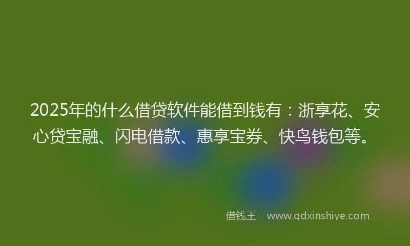 2025年的什么借贷软件能借到钱有：浙享花、安心贷宝融、闪电借款、惠享宝券、快鸟钱包等。