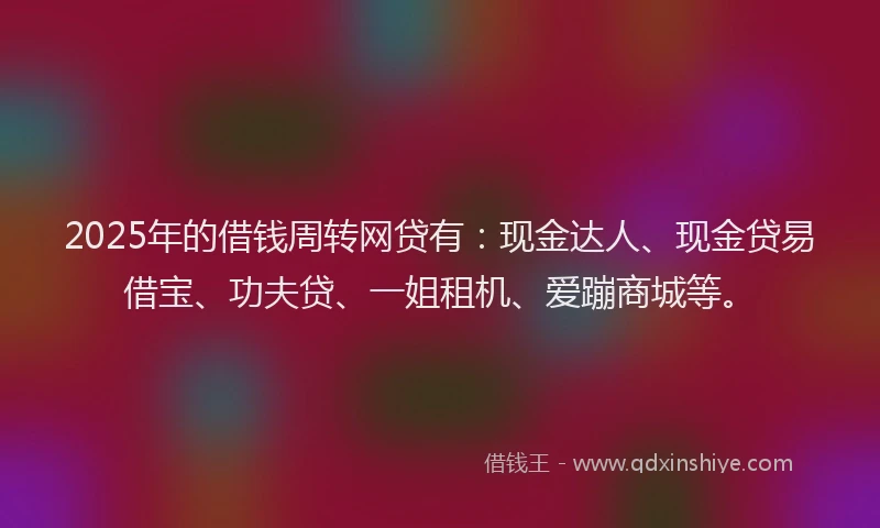 2025年的借钱周转网贷有：现金达人、现金贷易借宝、功夫贷、一姐租机、爱蹦商城等。