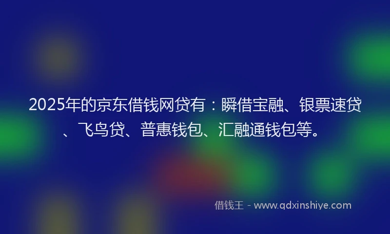 2025年的京东借钱网贷有：瞬借宝融、银票速贷、飞鸟贷、普惠钱包、汇融通钱包等。