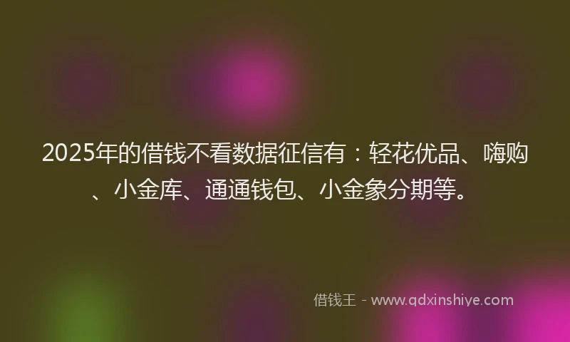 2025年的借钱不看数据征信有：轻花优品、嗨购、小金库、通通钱包、小金象分期等。