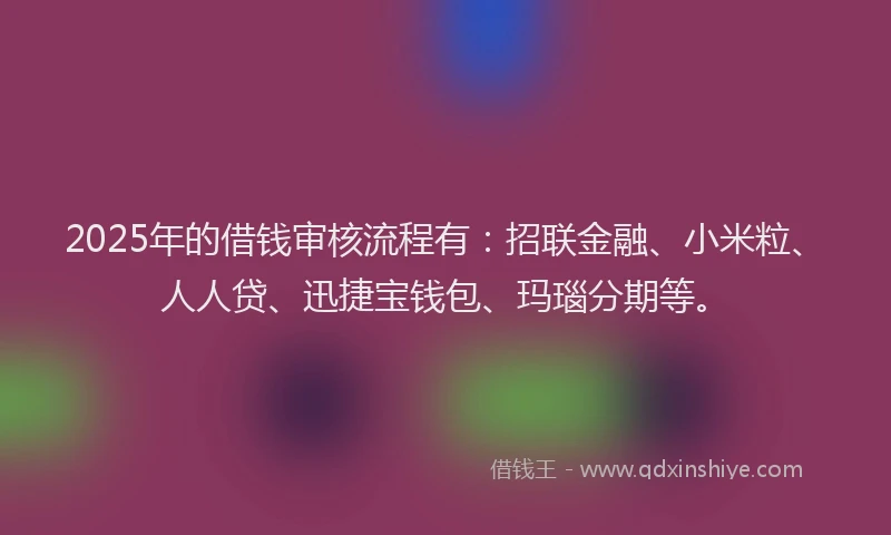 2025年的借钱审核流程有：招联金融、小米粒、人人贷、迅捷宝钱包、玛瑙分期等。