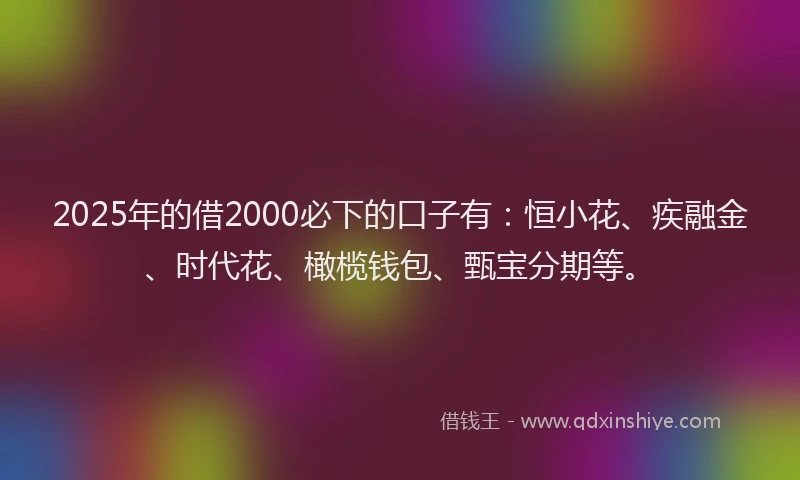 2025年的借2000必下的口子有：恒小花、疾融金、时代花、橄榄钱包、甄宝分期等。
