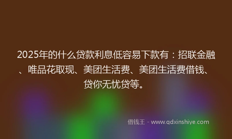 2025年的什么贷款利息低容易下款有：招联金融、唯品花取现、美团生活费、美团生活费借钱、贷你无忧贷等。