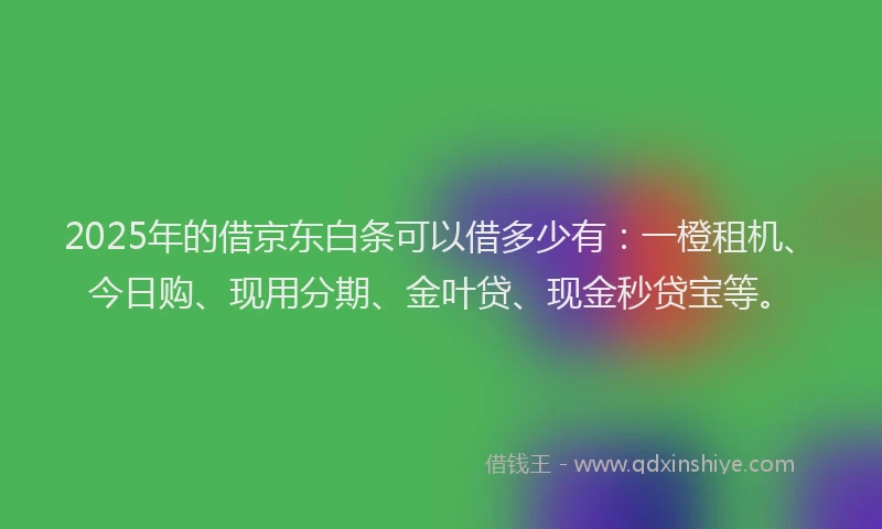 2025年的借京东白条可以借多少有：一橙租机、今日购、现用分期、金叶贷、现金秒贷宝等。