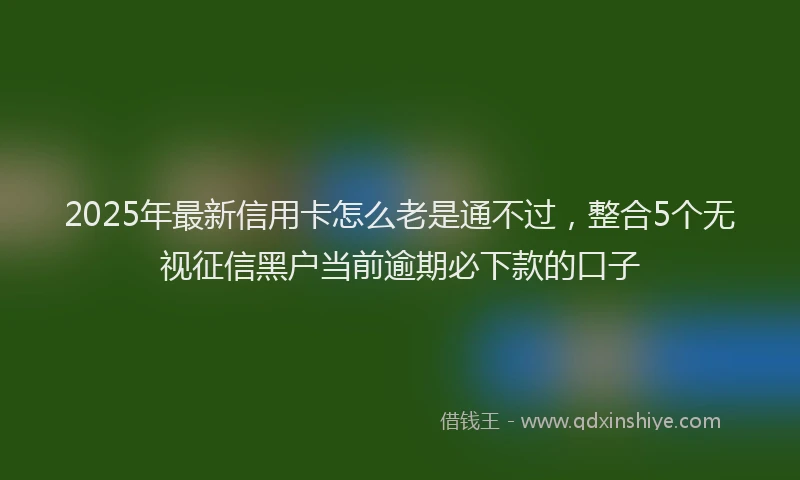 2025年最新信用卡怎么老是通不过，整合5个无视征信黑户当前逾期必下款的口子