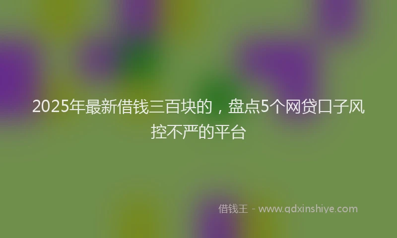 2025年最新借钱三百块的，盘点5个网贷口子风控不严的平台