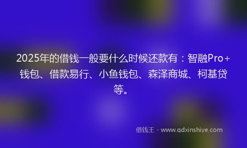 2025年的借钱一般要什么时候还款有：智融Pro+钱包、借款易行、小鱼钱包、森泽商城、柯基贷等。