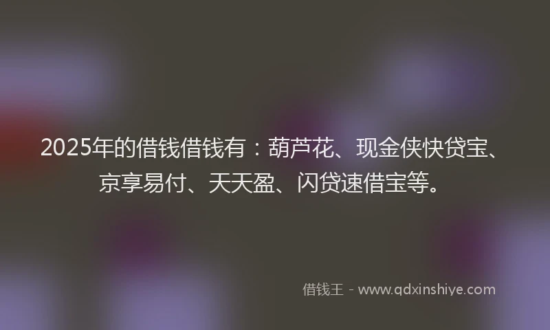 2025年的借钱借钱有：葫芦花、现金侠快贷宝、京享易付、天天盈、闪贷速借宝等。