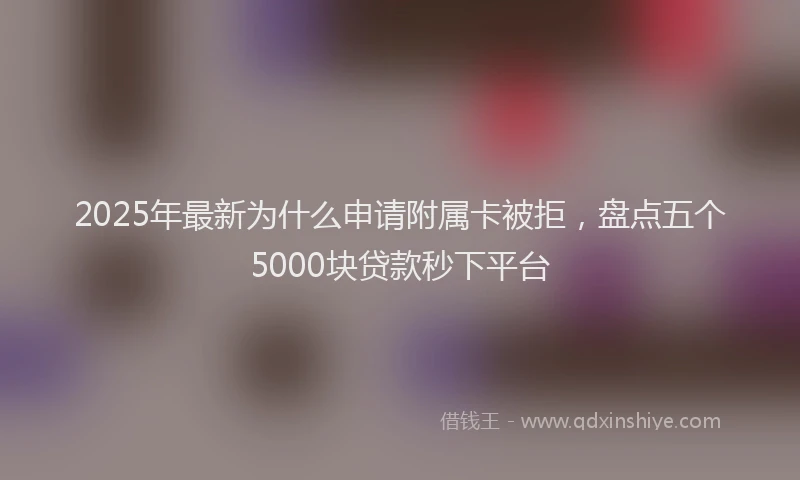 2025年最新为什么申请附属卡被拒，盘点五个5000块贷款秒下平台