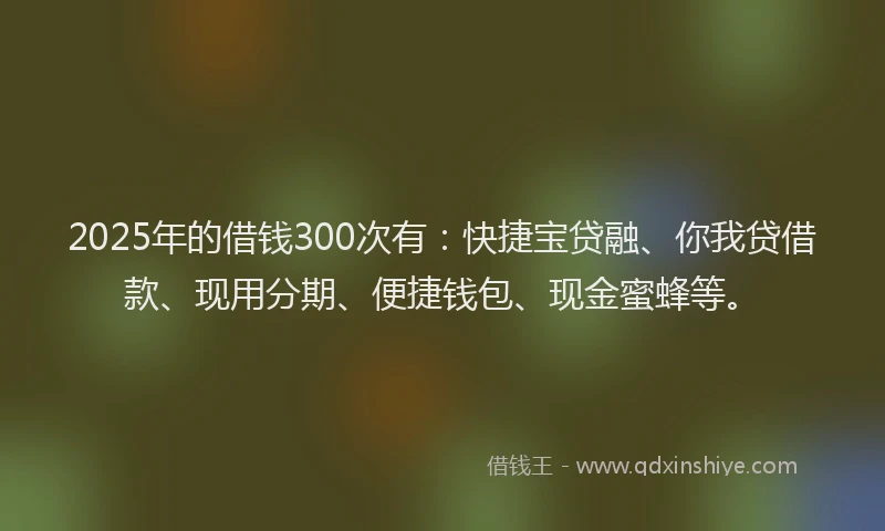 2025年的借钱300次有：快捷宝贷融、你我贷借款、现用分期、便捷钱包、现金蜜蜂等。