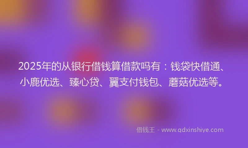 2025年的从银行借钱算借款吗有：钱袋快借通、小鹿优选、臻心贷、翼支付钱包、蘑菇优选等。