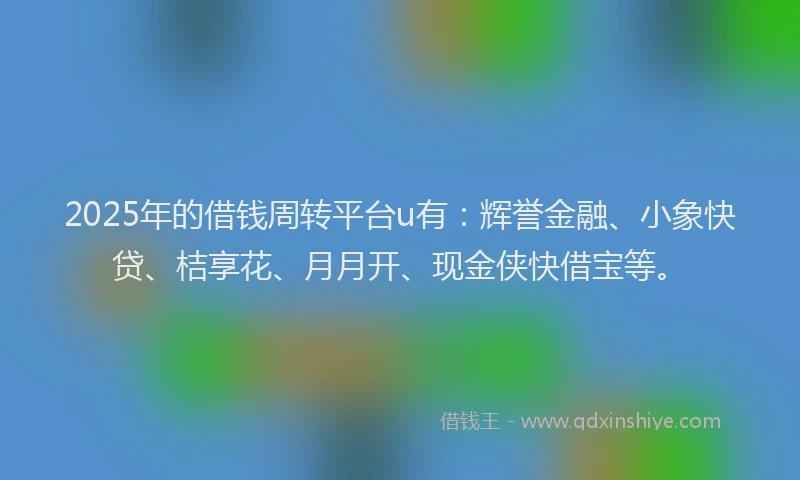 2025年的借钱周转平台u有：辉誉金融、小象快贷、桔享花、月月开、现金侠快借宝等。