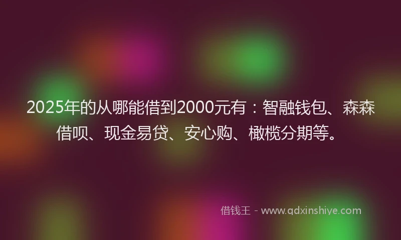 2025年的从哪能借到2000元有：智融钱包、森森借呗、现金易贷、安心购、橄榄分期等。