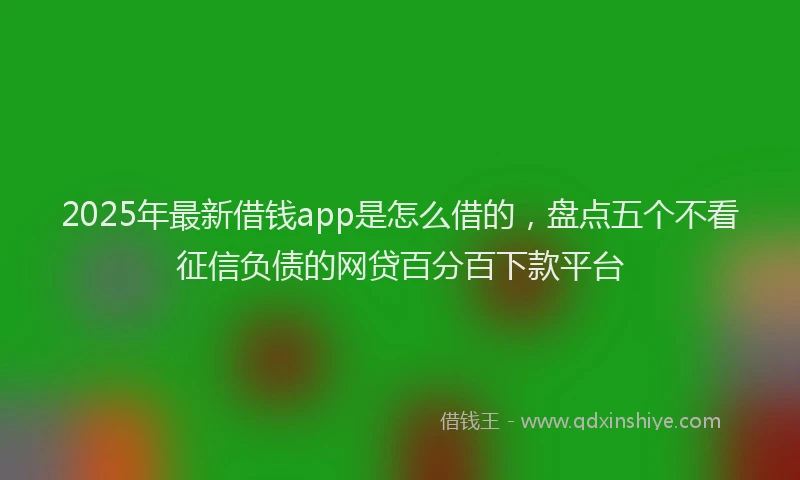 2025年最新借钱app是怎么借的，盘点五个不看征信负债的网贷百分百下款平台