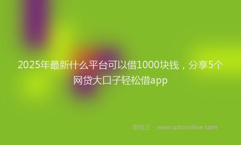 2025年最新什么平台可以借1000块钱，分享5个网贷大口子轻松借app