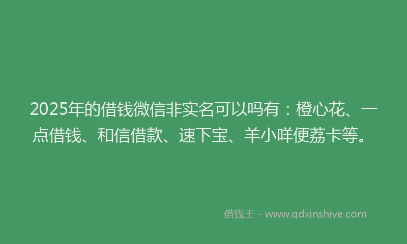 2025年的借钱微信非实名可以吗有：橙心花、一点借钱、和信借款、速下宝、羊小咩便荔卡等。