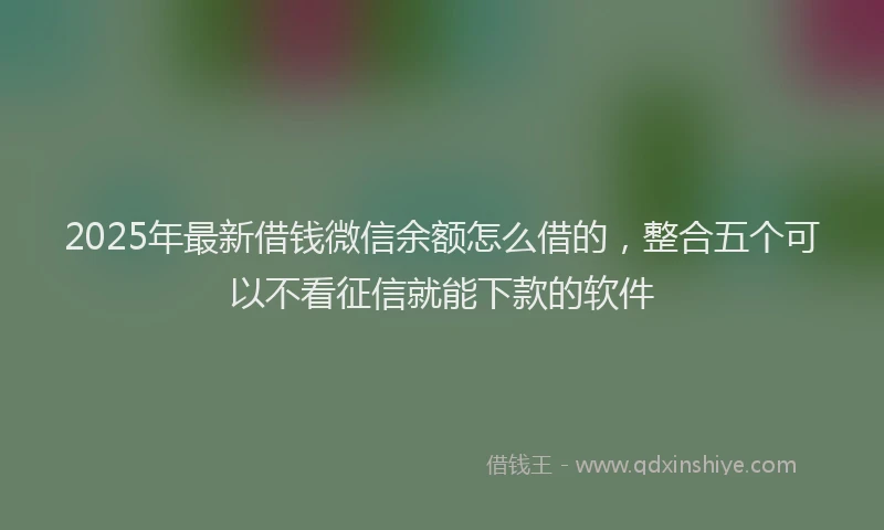 2025年最新借钱微信余额怎么借的，整合五个可以不看征信就能下款的软件