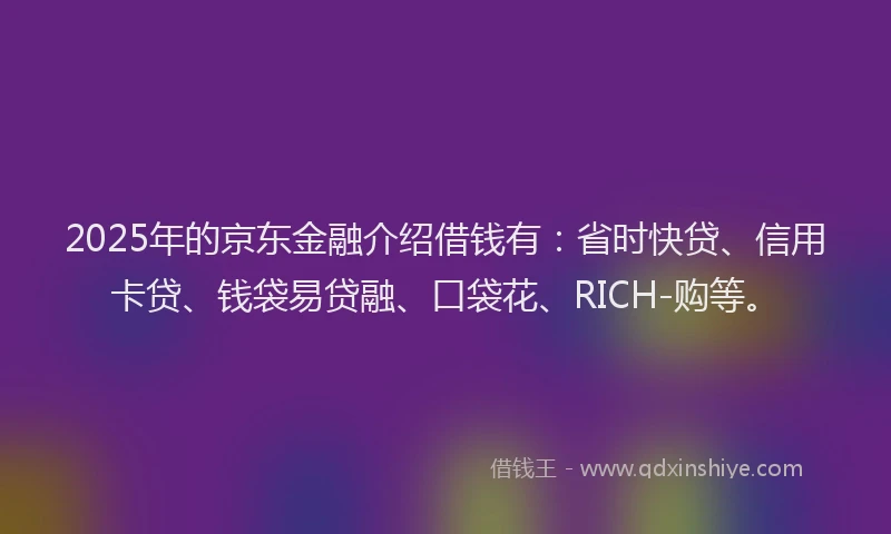 2025年的京东金融介绍借钱有：省时快贷、信用卡贷、钱袋易贷融、口袋花、RICH-购等。