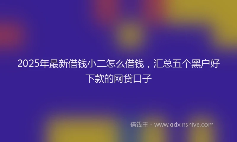 2025年最新借钱小二怎么借钱，汇总五个黑户好下款的网贷口子
