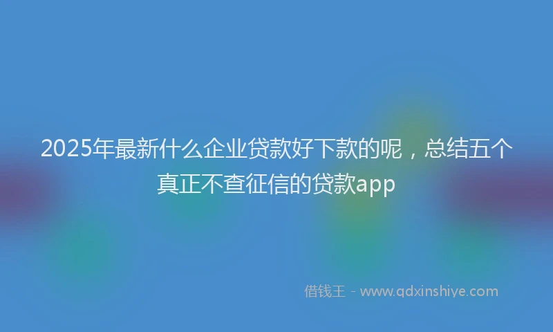 2025年最新什么企业贷款好下款的呢，总结五个真正不查征信的贷款app