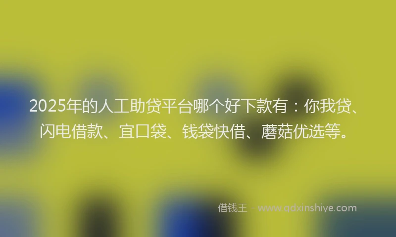 2025年的人工助贷平台哪个好下款有：你我贷、闪电借款、宜口袋、钱袋快借、蘑菇优选等。
