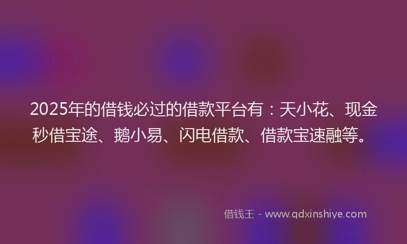 2025年的借钱必过的借款平台有：天小花、现金秒借宝途、鹅小易、闪电借款、借款宝速融等。