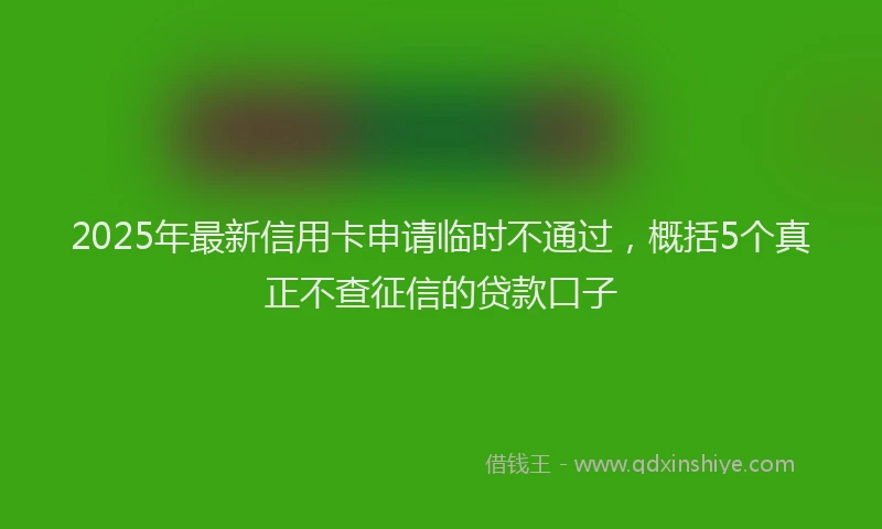 2025年最新信用卡申请临时不通过，概括5个真正不查征信的贷款口子