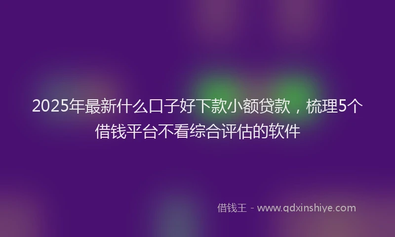 2025年最新什么口子好下款小额贷款，梳理5个借钱平台不看综合评估的软件