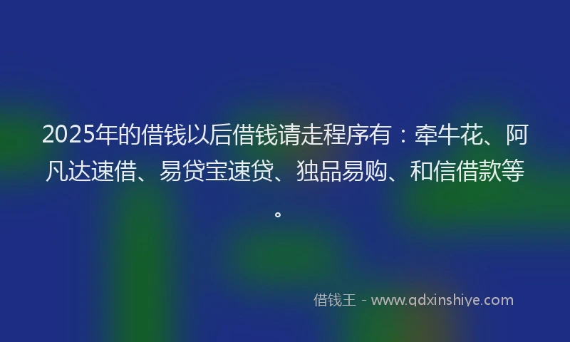 2025年的借钱以后借钱请走程序有：牵牛花、阿凡达速借、易贷宝速贷、独品易购、和信借款等。