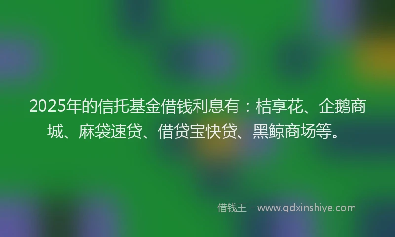 2025年的信托基金借钱利息有：桔享花、企鹅商城、麻袋速贷、借贷宝快贷、黑鲸商场等。