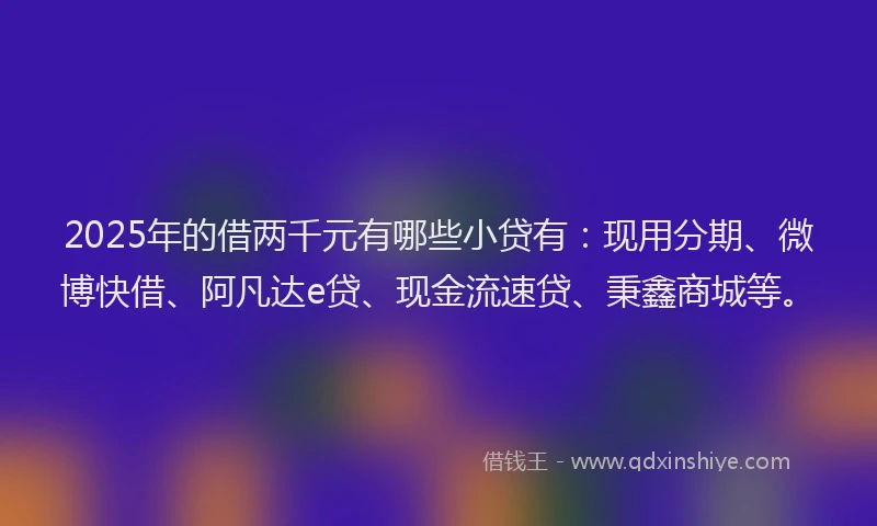 2025年的借两千元有哪些小贷有：现用分期、微博快借、阿凡达e贷、现金流速贷、秉鑫商城等。