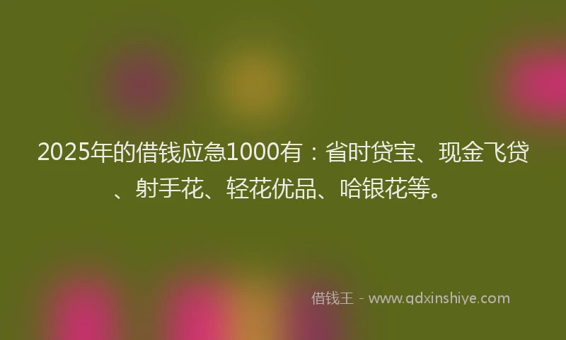 2025年的借钱应急1000有：省时贷宝、现金飞贷、射手花、轻花优品、哈银花等。
