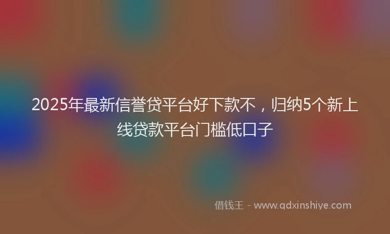 2025年最新信誉贷平台好下款不，归纳5个新上线贷款平台门槛低口子