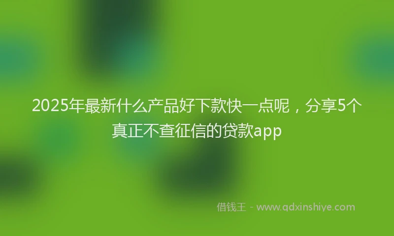 2025年最新什么产品好下款快一点呢，分享5个真正不查征信的贷款app