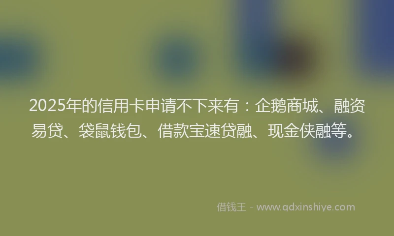 2025年的信用卡申请不下来有：企鹅商城、融资易贷、袋鼠钱包、借款宝速贷融、现金侠融等。