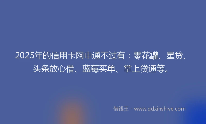2025年的信用卡网申通不过有：零花罐、星贷、头条放心借、蓝莓买单、掌上贷通等。