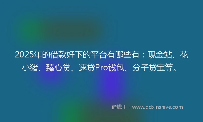 2025年的借款好下的平台有哪些有：现金站、花小猪、臻心贷、速贷Pro钱包、分子贷宝等。