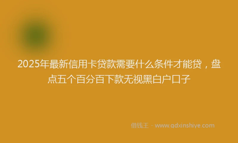 2025年最新信用卡贷款需要什么条件才能贷，盘点五个百分百下款无视黑白户口子