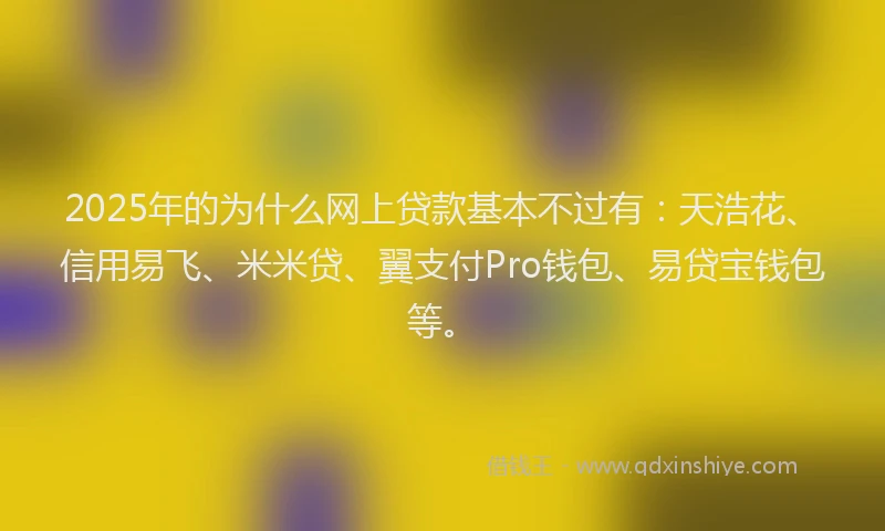 2025年的为什么网上贷款基本不过有：天浩花、信用易飞、米米贷、翼支付Pro钱包、易贷宝钱包等。